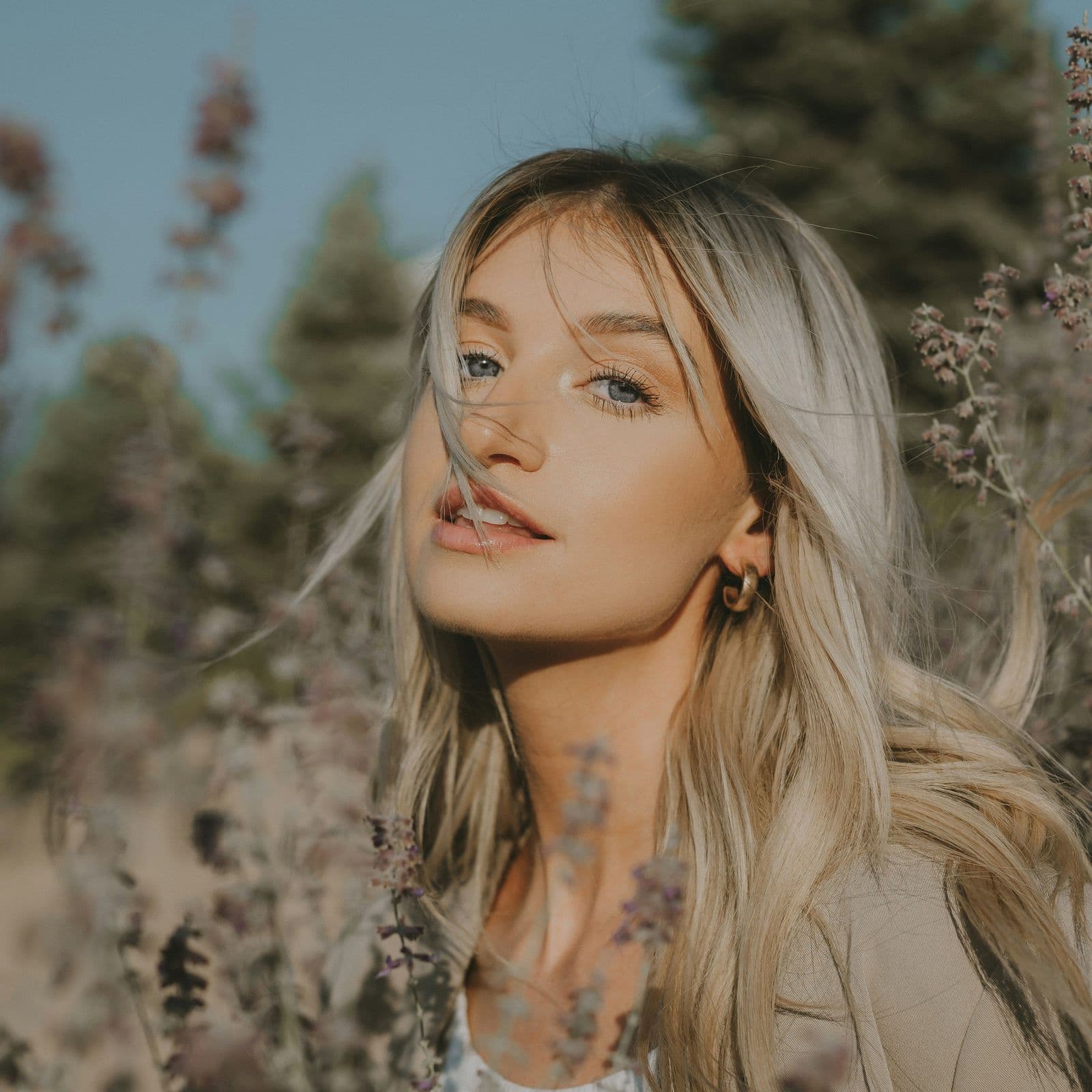 Hero Image - Beauty in field